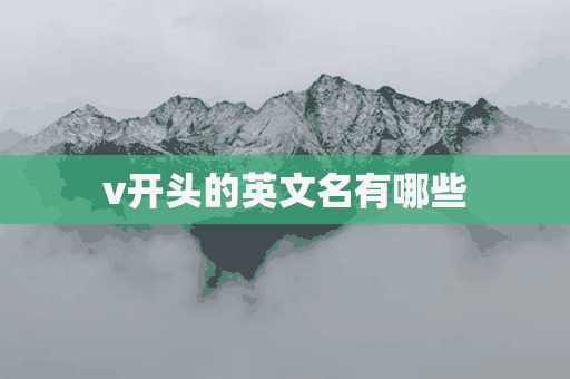 v开头的英文名有哪些(v开头的英文名有哪些)